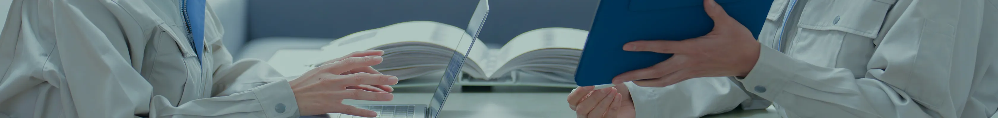 研究分野